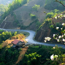 Tour Tây Bắc 3 Ngày 2 Đêm: Hà Nội – Mộc Châu – Mường Phăng – Điện Biên | Săn Hoa Ban & Hành Trình Lịch Sử