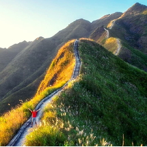 Tour Bình Liêu 2 Ngày 1 Đêm: Săn Mùa Cỏ Lau – Check-in Sống Lưng Khủng Long