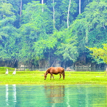 Tour Hồ Ba Bể 2 Ngày 1 Đêm | Du Ngoạn Hồ Núi – Trải Nghiệm Văn Hóa Tày