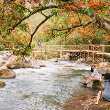 Tour Quảng Bình 3 Ngày 3 Đêm | Phong Nha – Suối Moọc – Biển Nhật Lệ – Vũng Chùa
