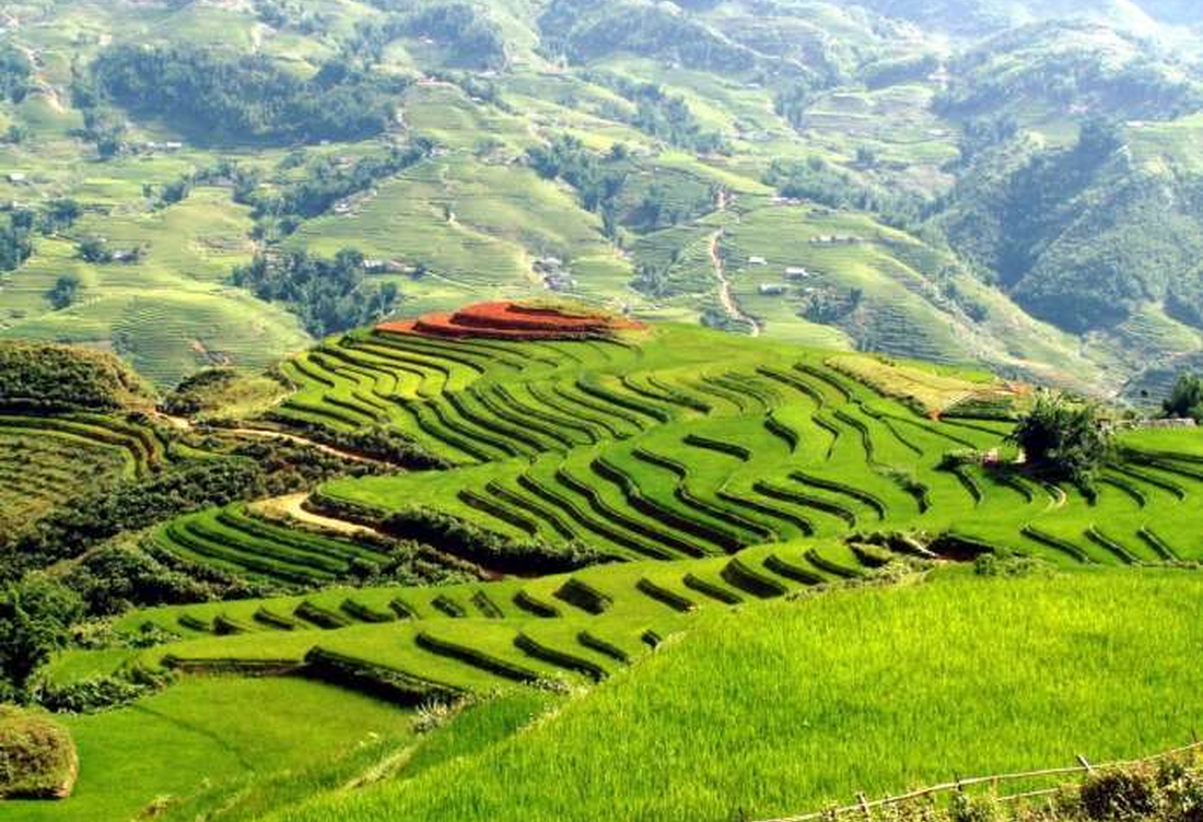 Tour Tam Đảo 1 Ngày – Khám Phá Tây Thiên, Săn Mây “Sapa Bên Thềm Hà Nội”