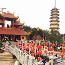 Tour Đường Lâm – Chùa Mía – Thành Cổ Sơn Tây – Chùa Khai Nguyên 1 Ngày | Hành Trình Về Miền Di Sản Xứ Đoài