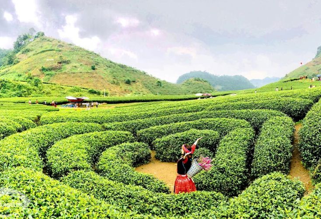 Tour Tây Bắc 5 Ngày 4 Đêm: Mù Cang Chải – Sapa – Fansipan – Điện Biên – Mộc Châu Vòng Cung Hùng Vĩ