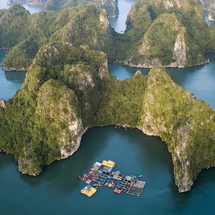 Tour Ninh Bình – Hạ Long – Hạ Long Park – Sapa – Fansipan 5 Ngày 4 Đêm | Hành Trình Di Sản & Núi Rừng Tây Bắc