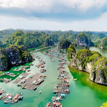 Tour Cát Bà – Vịnh Lan Hạ 2 Ngày 1 Đêm | Du Thuyền, Kayak, Biển Xanh & Trải Nghiệm Đảo Ngọc