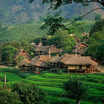 Tour Mai Châu 2 Ngày 1 Đêm | Trải Nghiệm Nhà Sàn, Văn Hóa Người Thái & Thung Lũng Bình Yên