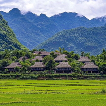 Tour Mai Châu 1 Ngày | Trải Nghiệm Thung Lũng Bình Yên & Văn Hóa Người Thái