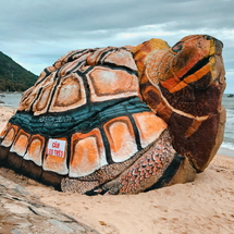 Tour Đảo Hòn Sơn - Nam Du 3 Ngày 3 Đêm: Liên Tuyến Biển Xanh, Hoang Sơ & Kỳ Thú