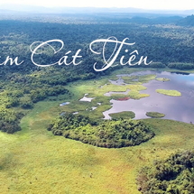 Tour Rừng Nam Cát Tiên - Suối Mơ - KDL Madagui 2 Ngày 1 Đêm, Khám Phá Vẻ Đẹp Hoang Sơ Trọn Vẹn