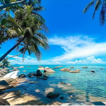 Tour Đảo Hòn Sơn 2 Ngày 2 Đêm: Tiếng Gọi Biển Khơi - Hoang Sơ Biển Vắng