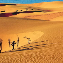 Tour Phan Thiết Mũi Né 2 Ngày 1 Đêm: Nghỉ Dưỡng Thiên Đường, Quẩy Hết Mình