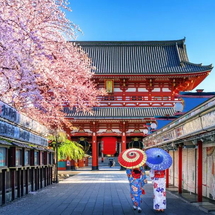 Tour Nhật Bản 6N5Đ: Tokyo – Núi Phú Sĩ – Kyoto – Osaka | Cung Đường Vàng