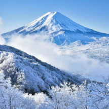 Tour Nhật Bản Mùa Đông 5N4Đ: Tokyo – Hakone – Phú Sĩ – Trượt Tuyết – Disneyland | Bay Vietnam Airlines