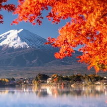 Tour Nhật Bản Mùa Lá Đỏ 6N5Đ: Tokyo – Phú Sĩ – Kyoto – Osaka | Bay Vietjet Air