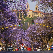 Tour Nam Phi 8 Ngày 7 Đêm: Johannesburg – Pilanesberg – Pretoria – Cape Town | Safari Big Five