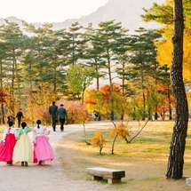 Tour Hàn Quốc Mùa Thu 5N4Đ: Seoul – Nami – Everland – N Seoul Tower – Painter Show | Bay Vietjet Air