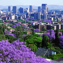 Tour Nam Phi 8 Ngày 7 Đêm: Johannesburg – Pretoria – Safari Game Lodge – Cape Town | Singapore Airlines
