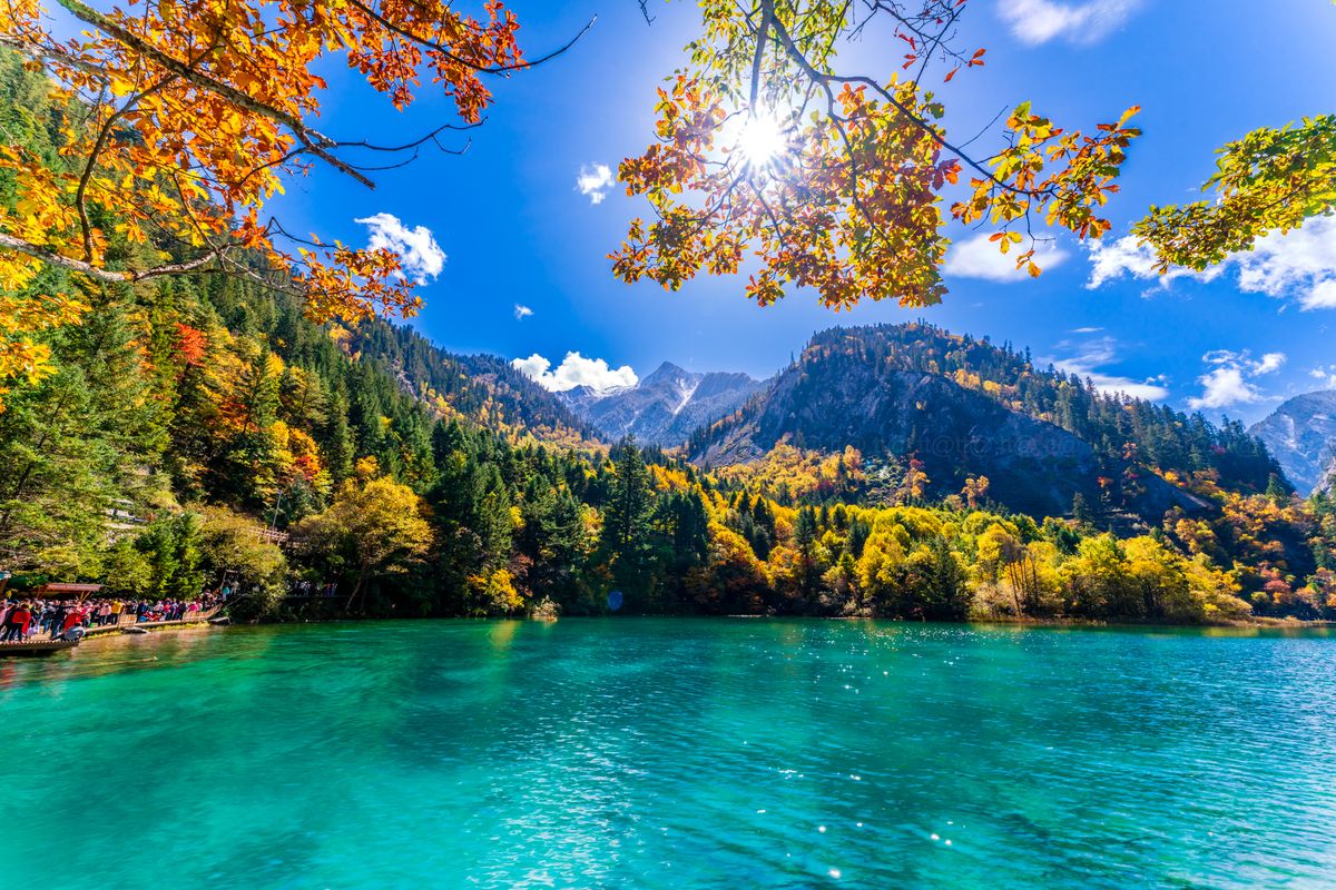 hình ảnh cửu trại câu mùa đẹp